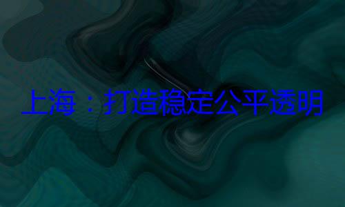 上海打造稳定公平透境明的营商环